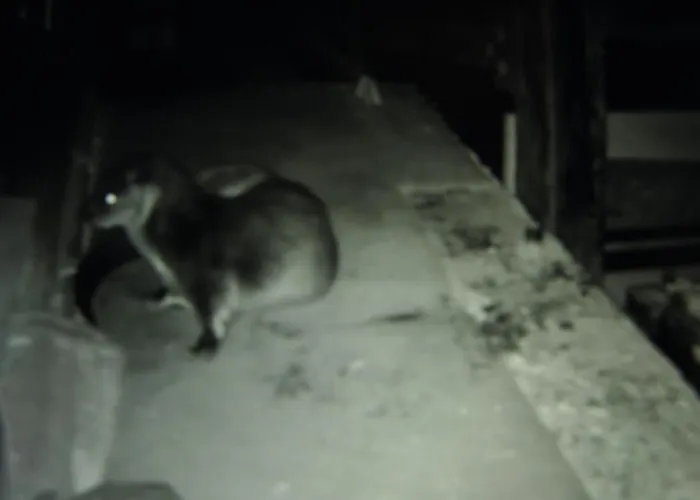 Vivers Mill بيكرينغ